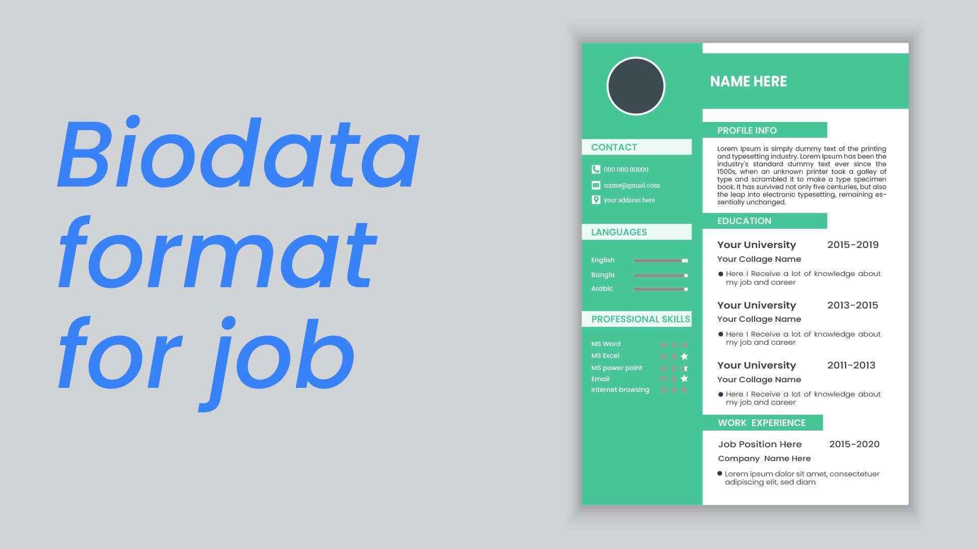 Biodata Format for Job with Free Template and Pro Tips